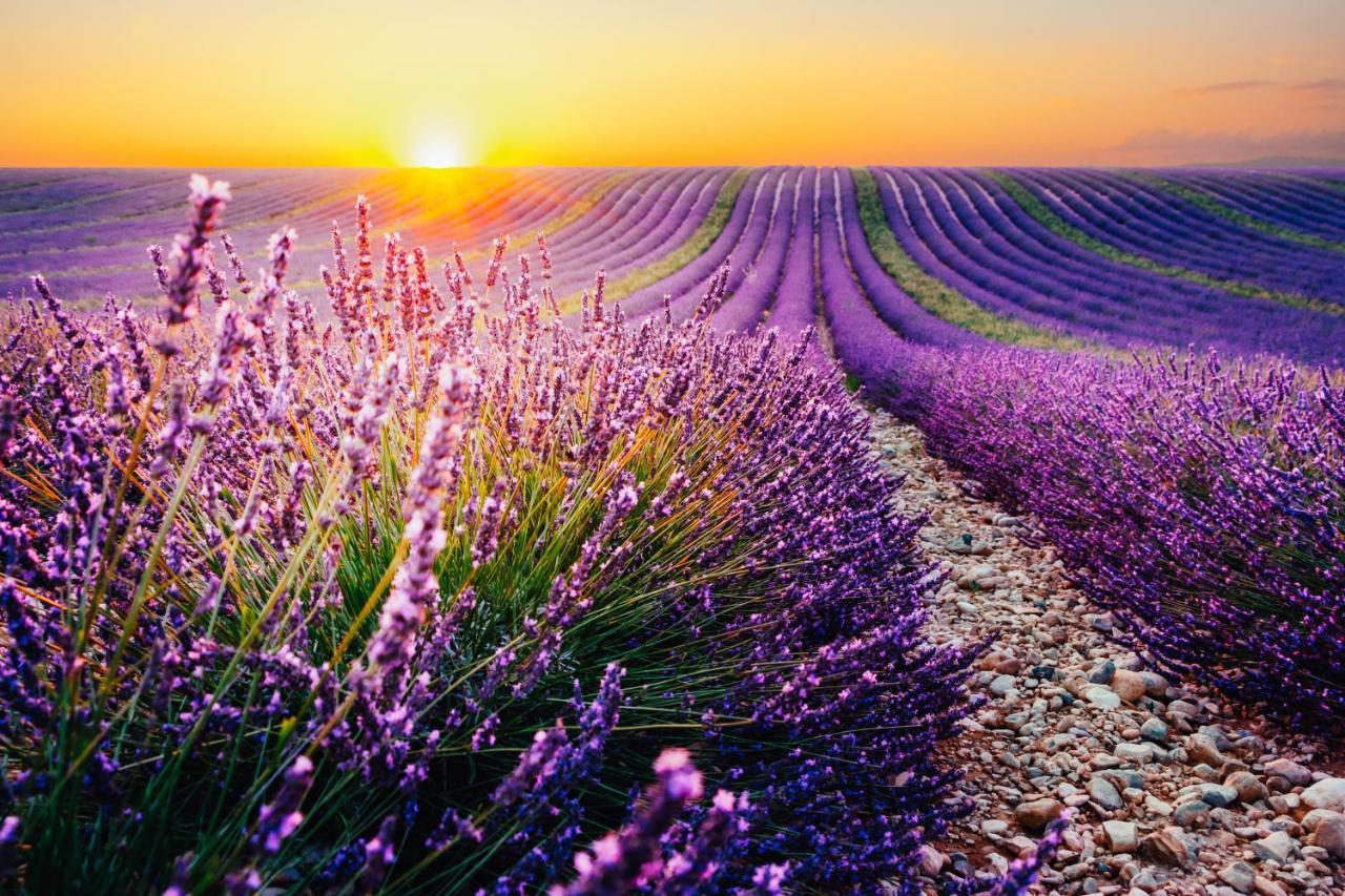 Love In Taulignan ภายนอก รูปภาพ
